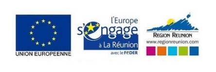 Logo Europe & Région